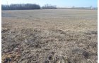 Property photo 32 - East Allen County - 55 Acre Land Auction